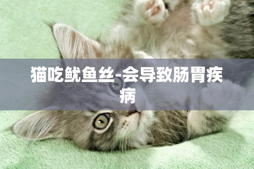 貓吃魷魚絲-會導致腸胃疾病