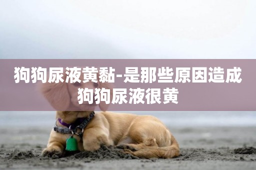 狗狗尿液黃黏-是那些原因造成狗狗尿液很黃