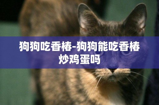 狗狗吃香椿-狗狗能吃香椿炒雞蛋嗎