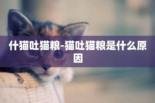 什貓吐貓糧-貓吐貓糧是什么原因