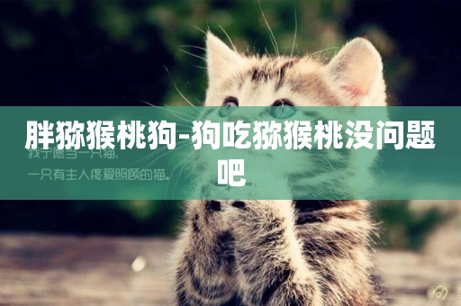 胖獼猴桃狗-狗吃獼猴桃沒問題吧