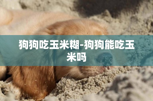 狗狗吃玉米糊-狗狗能吃玉米嗎