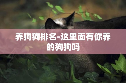 養狗狗排名-這里面有你養的狗狗嗎