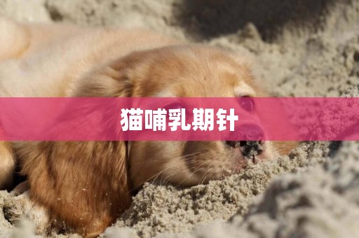 貓哺乳期針