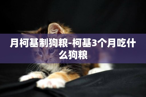月柯基制狗糧-柯基3個月吃什么狗糧