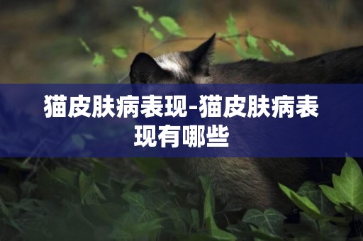 貓皮膚病表現-貓皮膚病表現有哪些