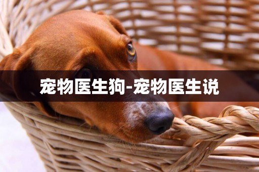 寵物醫生狗-寵物醫生說
