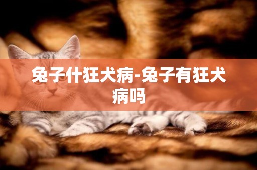 兔子什狂犬病-兔子有狂犬病嗎