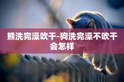 熊洗完澡吹干-狗洗完澡不吹干會怎樣