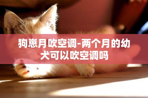 狗崽月吹空調-兩個月的幼犬可以吹空調嗎