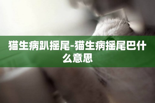貓生病趴搖尾-貓生病搖尾巴什么意思
