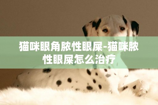 貓咪眼角膿性眼屎-貓咪膿性眼屎怎么治療