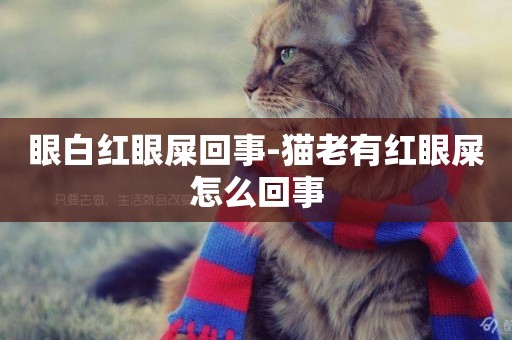 眼白紅眼屎回事-貓老有紅眼屎怎么回事