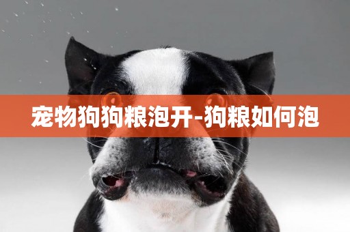 寵物狗狗糧泡開-狗糧如何泡