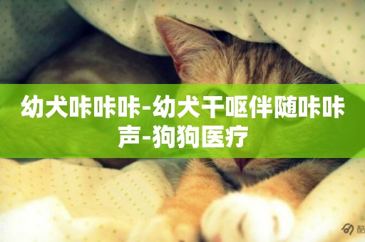 幼犬咔咔咔-幼犬干嘔伴隨咔咔聲-狗狗醫療