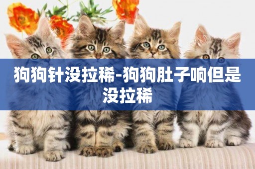 狗狗針沒拉稀-狗狗肚子響但是沒拉稀