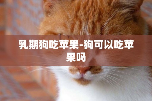 乳期狗吃蘋果-狗可以吃蘋果嗎