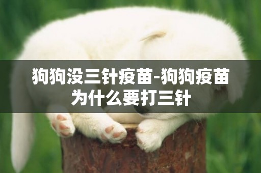 狗狗沒三針疫苗-狗狗疫苗為什么要打三針