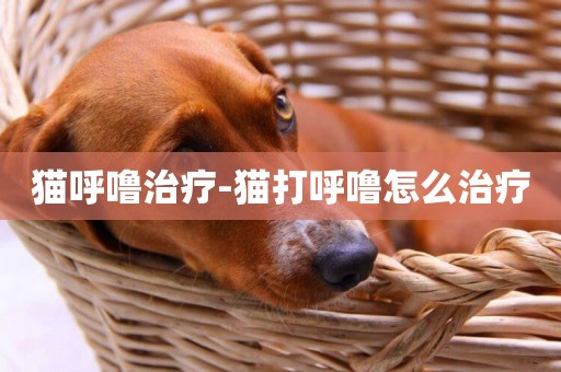 貓呼嚕治療-貓打呼嚕怎么治療