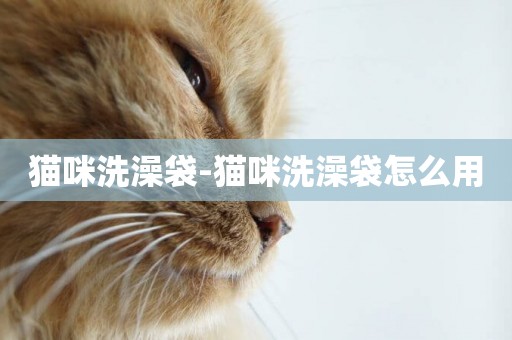 貓咪洗澡袋-貓咪洗澡袋怎么用