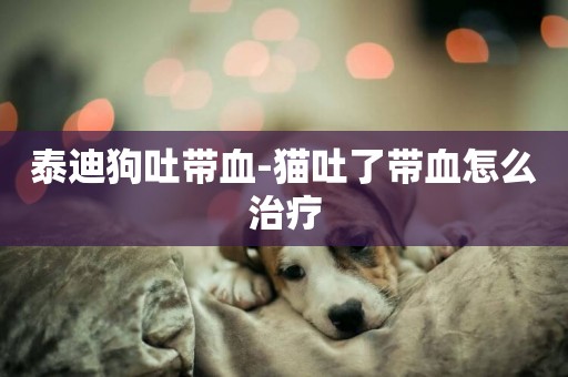 泰迪狗吐帶血-貓吐了帶血怎么治療