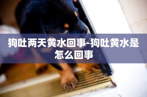 狗吐兩天黃水回事-狗吐黃水是怎么回事