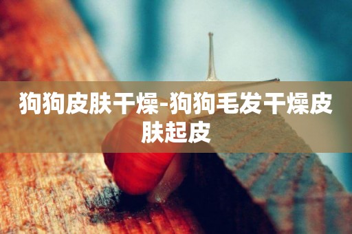 狗狗皮膚干燥-狗狗毛發干燥皮膚起皮
