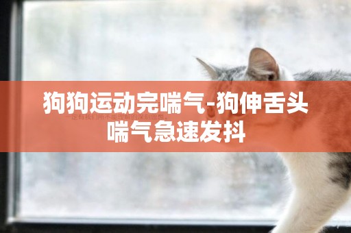 狗狗運動完喘氣-狗伸舌頭喘氣急速發抖