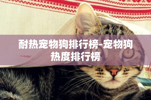 耐熱寵物狗排行榜-寵物狗熱度排行榜