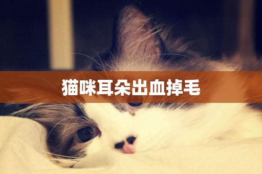 貓咪耳朵出血掉毛