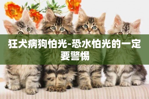 狂犬病狗怕光-恐水怕光的一定要警惕