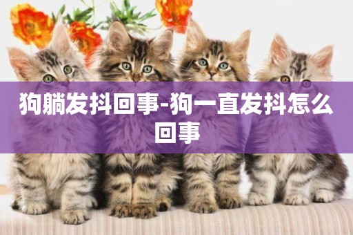 狗躺發抖回事-狗一直發抖怎么回事