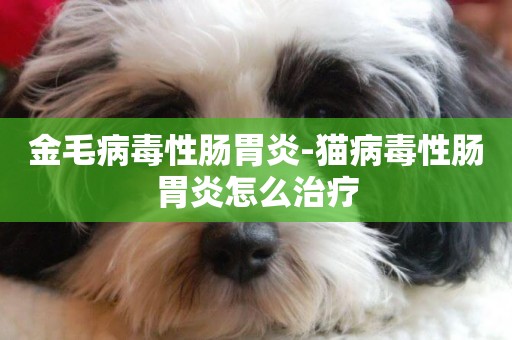 金毛病毒性腸胃炎-貓病毒性腸胃炎怎么治療