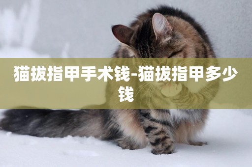 貓拔指甲手術錢-貓拔指甲多少錢