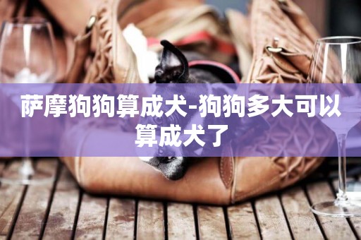 薩摩狗狗算成犬-狗狗多大可以算成犬了