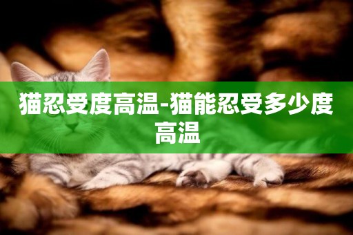 貓忍受度高溫-貓能忍受多少度高溫