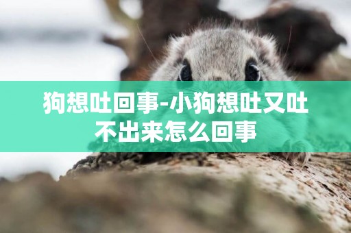 狗想吐回事-小狗想吐又吐不出來怎么回事