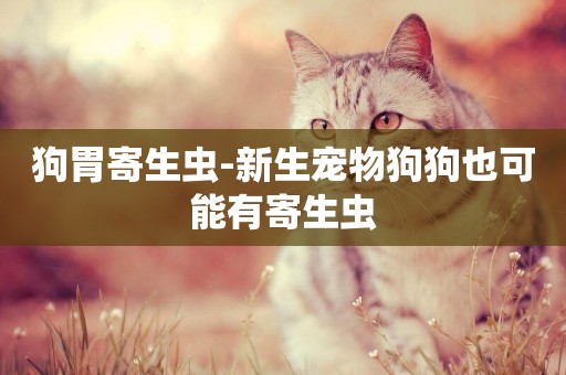 狗胃寄生蟲-新生寵物狗狗也可能有寄生蟲