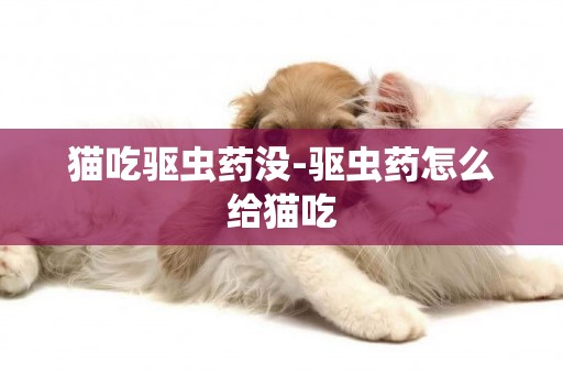 貓吃驅蟲藥沒-驅蟲藥怎么給貓吃