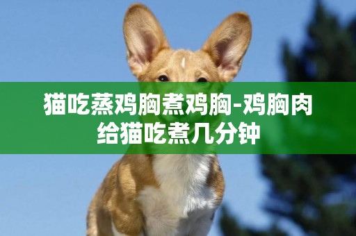 貓吃蒸雞胸煮雞胸-雞胸肉給貓吃煮幾分鐘
