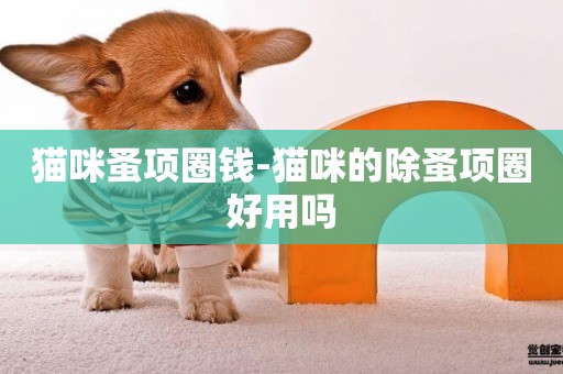 貓咪蚤項圈錢-貓咪的除蚤項圈好用嗎