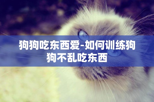 狗狗吃東西愛-如何訓練狗狗不亂吃東西