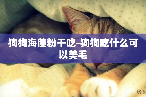 狗狗海藻粉干吃-狗狗吃什么可以美毛