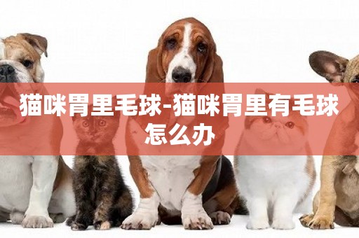 貓咪胃里毛球-貓咪胃里有毛球怎么辦