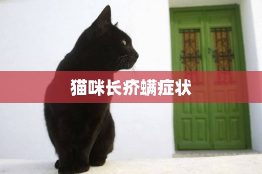貓咪長疥螨癥狀