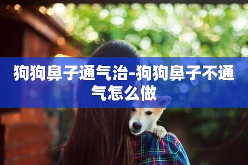 狗狗鼻子通氣治-狗狗鼻子不通氣怎么做