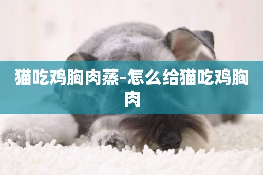 貓吃雞胸肉蒸-怎么給貓吃雞胸肉