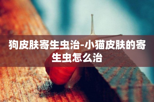狗皮膚寄生蟲治-小貓皮膚的寄生蟲怎么治