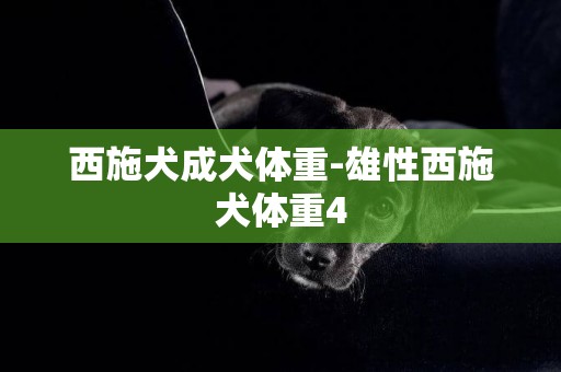 西施犬成犬體重-雄性西施犬體重4