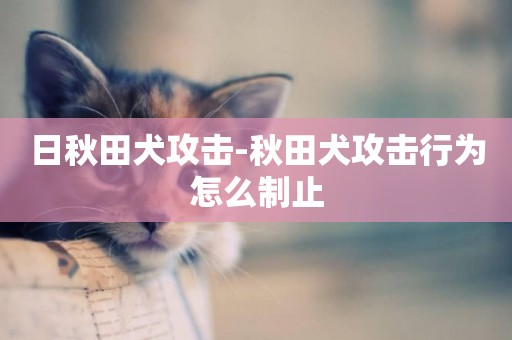 日秋田犬攻擊-秋田犬攻擊行為怎么制止
